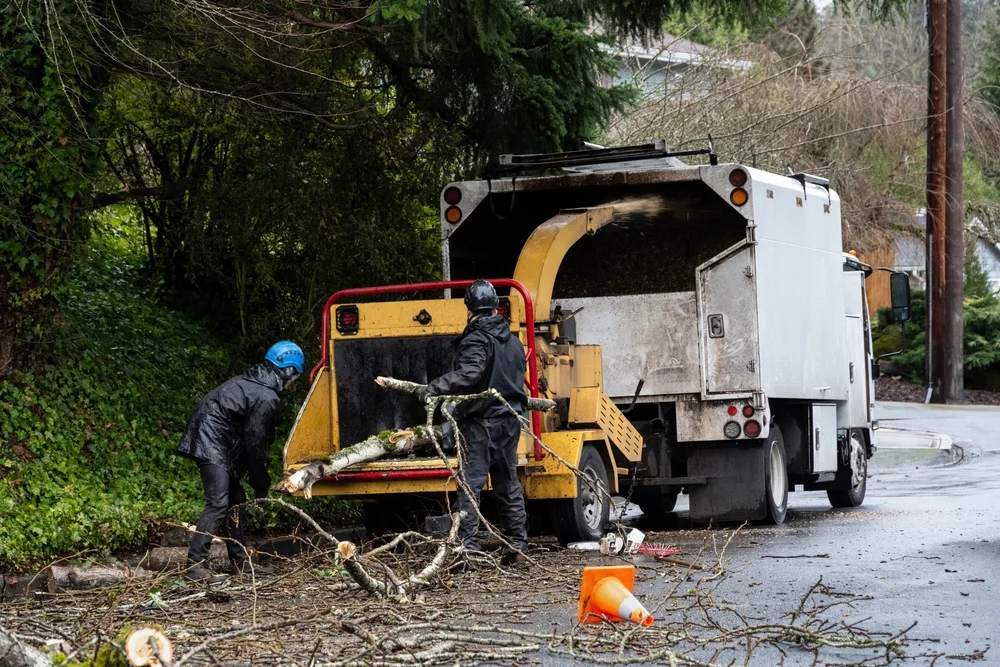 Best practices for roadside and railway mulching