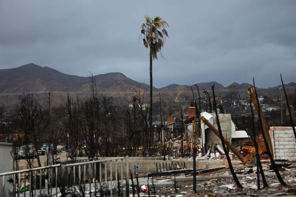 Environmental and economic benefits of post-fire mulching