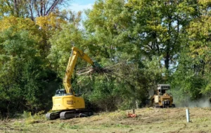 Forestry sector requirements for high output mulchers