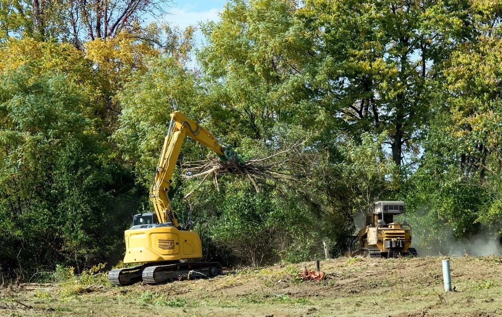 Forestry sector requirements for high output mulchers