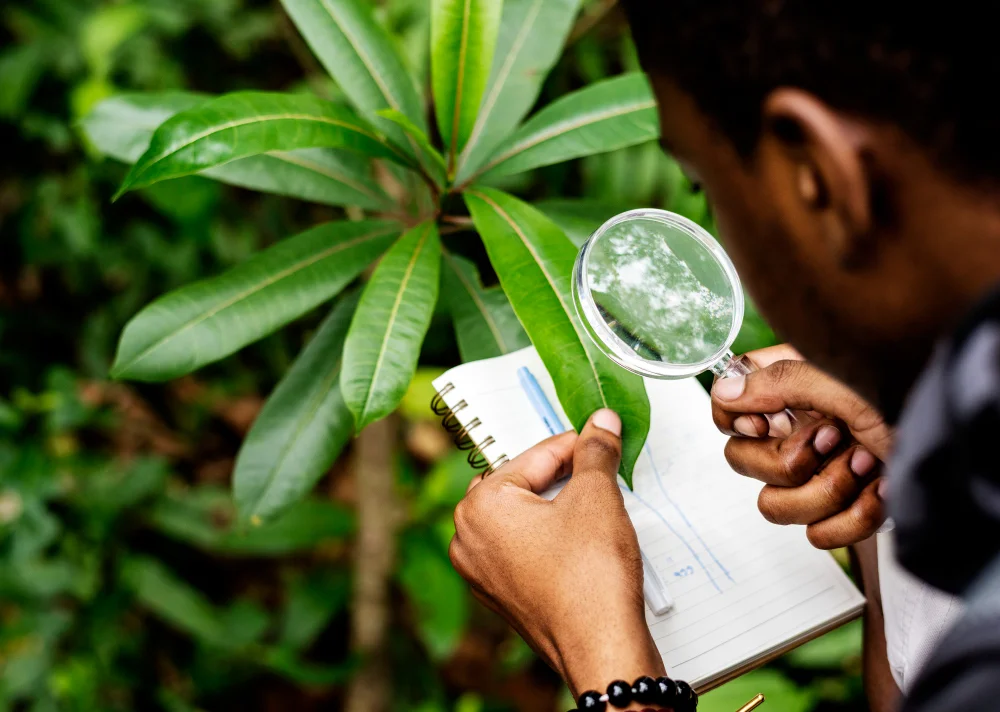 Ready to plan your vegetation management project