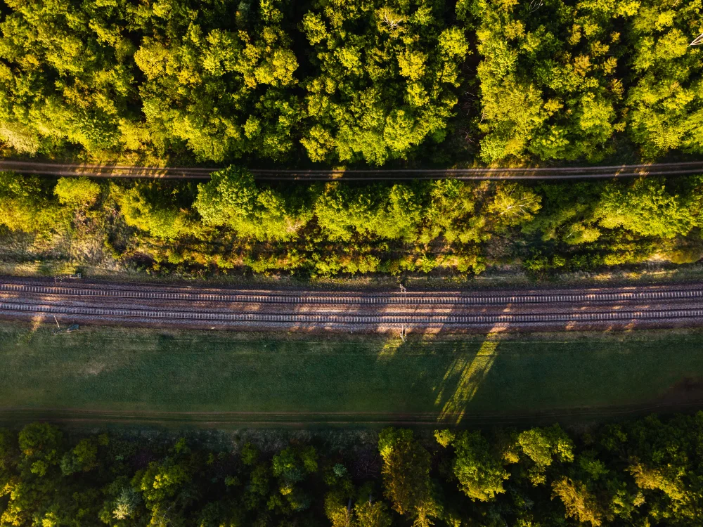 Vegetation control strategies to keep roads and railways safe, visible, and compliant