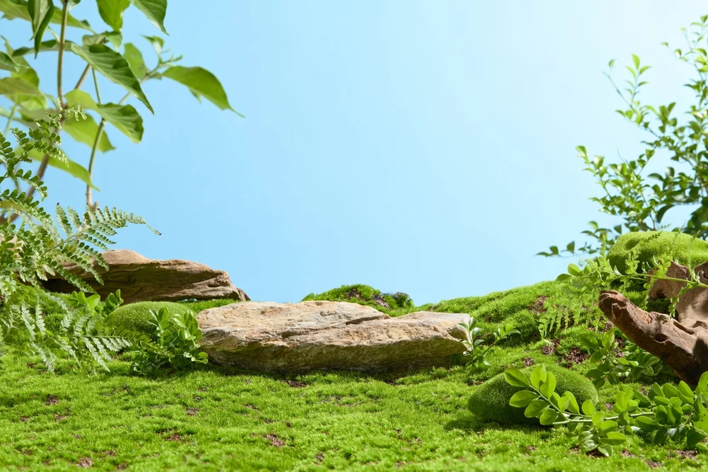 vegetation type